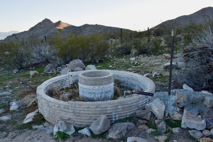 Malol Spring Marl Spring: Vital Watering Hole on the Mojave Road – The Desert Way ...