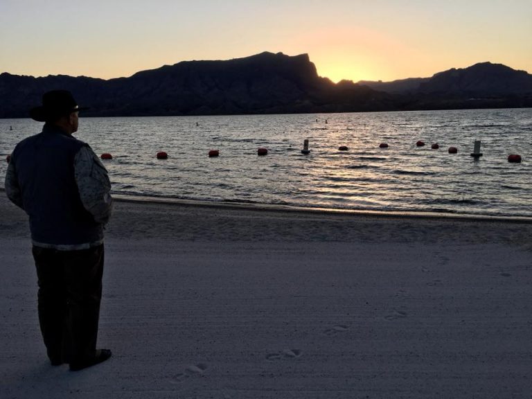 Cattail Cove State Park: A Havasu Gem