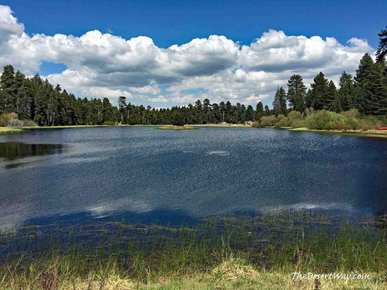 Bluff Lake Reserve: A Road Less Taken