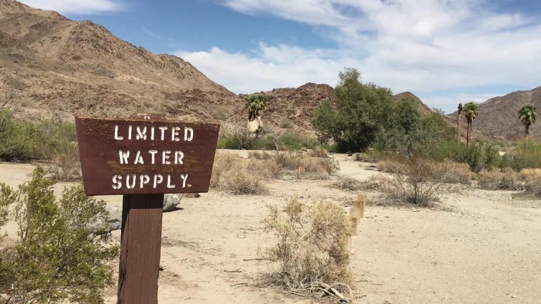 What’s on Our Desert Bookshelf? Part IV: 20 MORE Good Reads