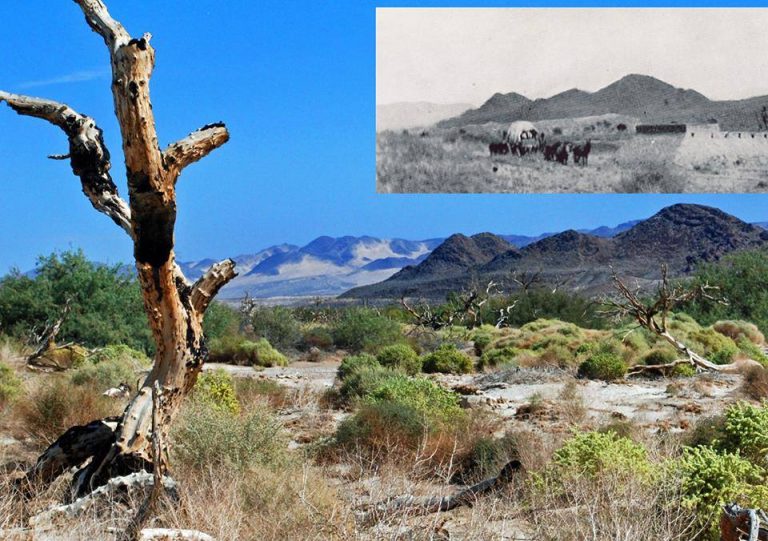 Camp Cady: Veterans Day Missive