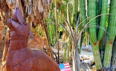 Moorten Botanical Garden and Cactarium: Desert Eden in Palm Springs