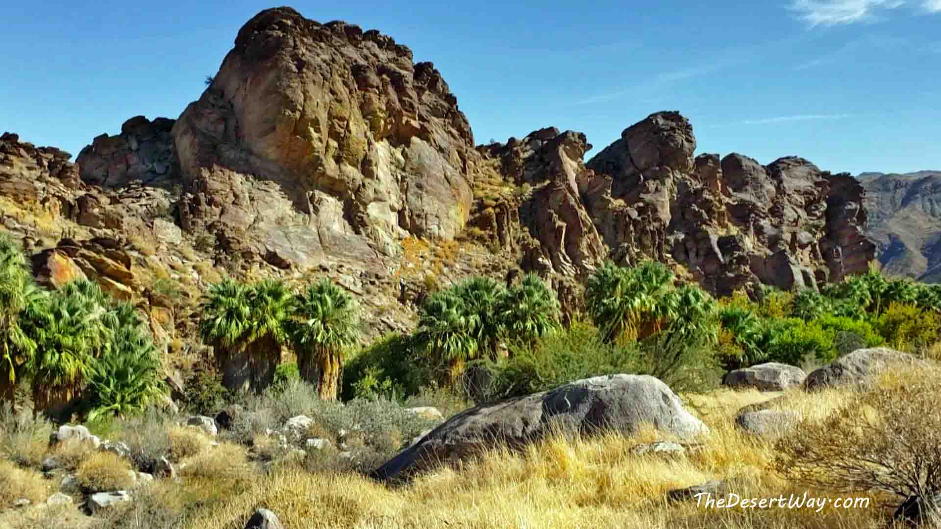 Hiking Andreas Canyon Agua Caliente Oasis The Desert Way with Jaylyn