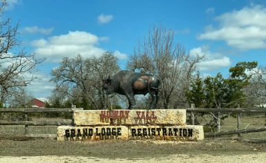 Antler Oaks Lodge RV Resort: Where Buffalo and Zebra Play