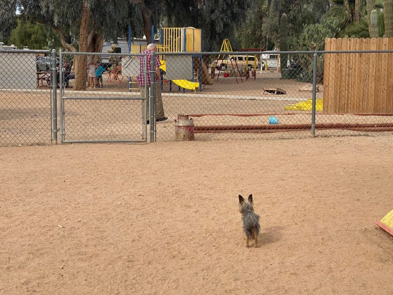 Tucson West KOA Journey Picacho, Arizona