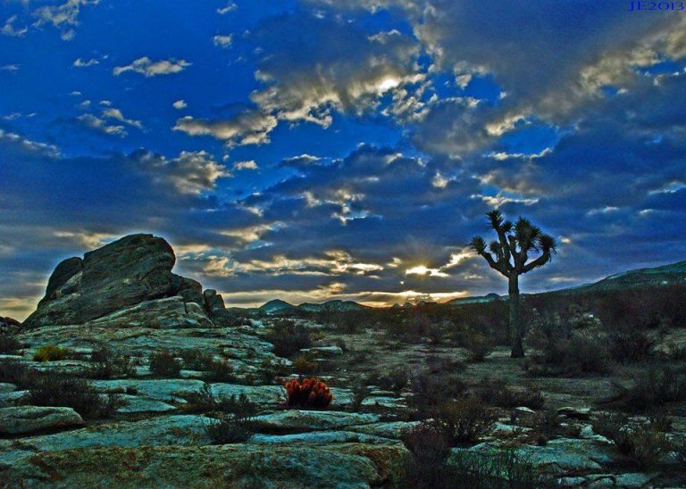 Beware of Deserts Bearing Gifts: It Can Be Deadly
