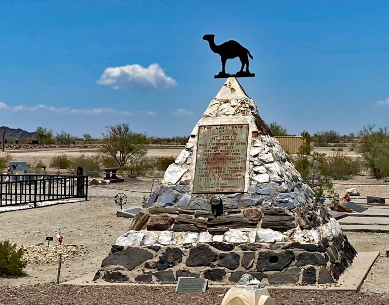 How Camels Paved the Way for Route 66