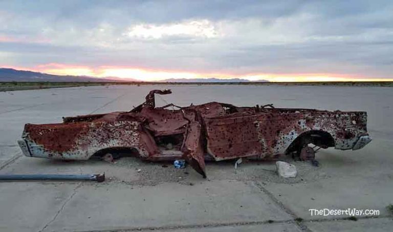 Rice, California: More Than Abandoned Shoes