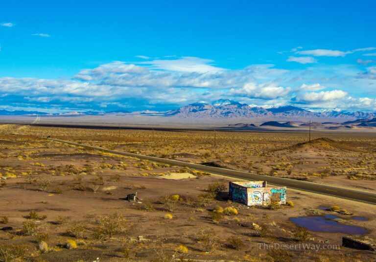 Cadiz Summit: Outpost of the Mojave